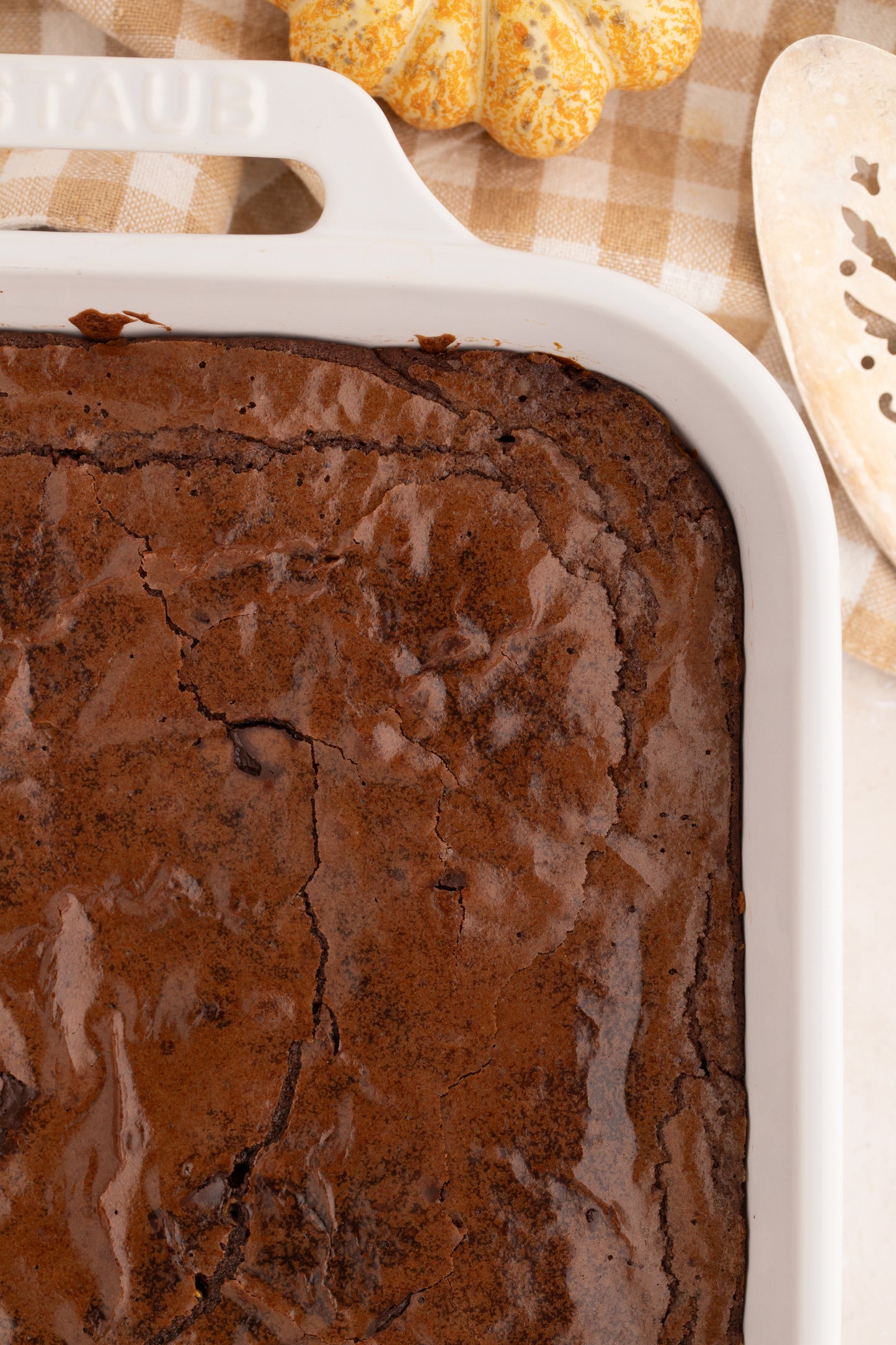 Pumpkin Brownies - Exclusive