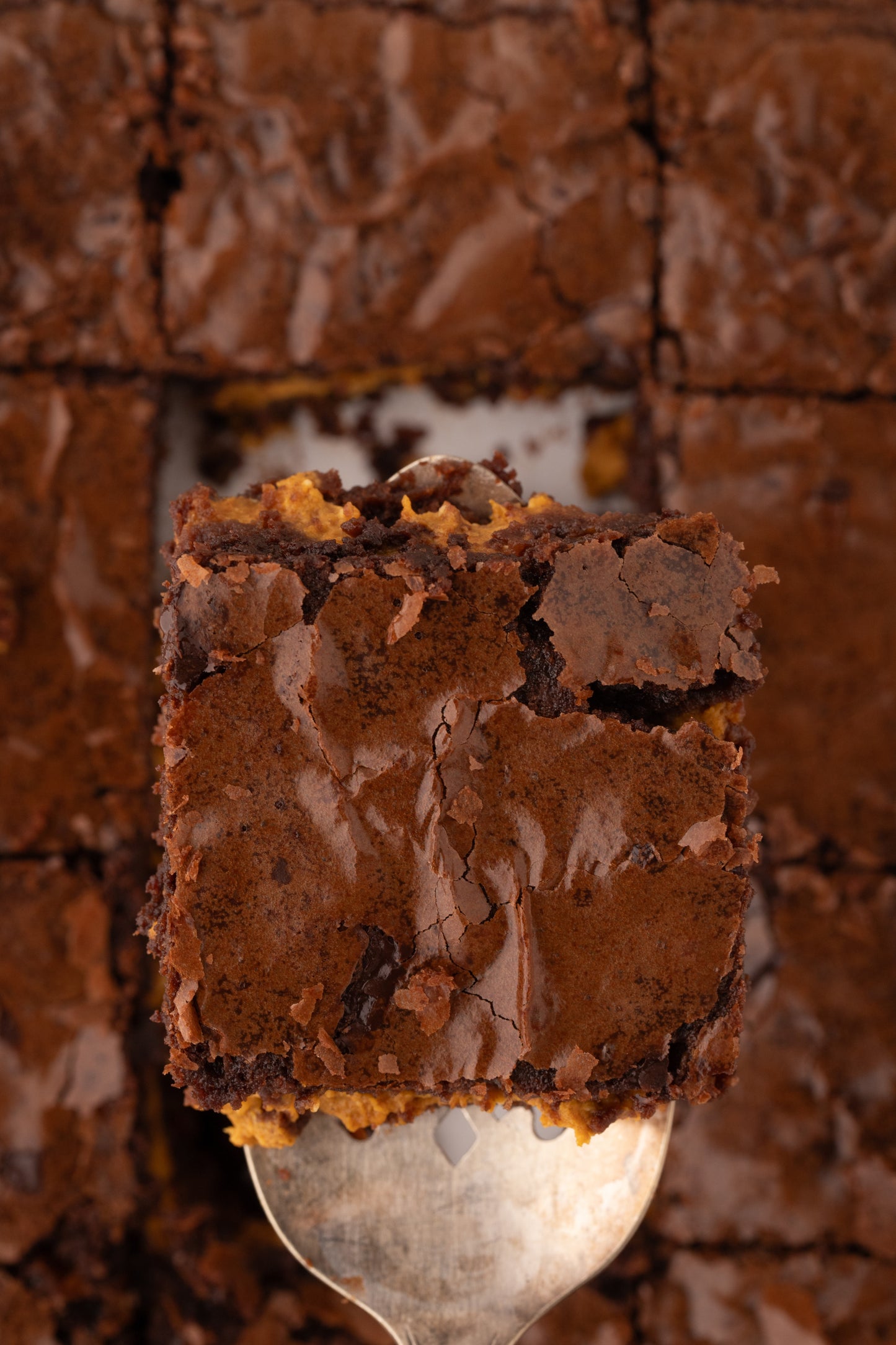 Pumpkin Brownies - Exclusive