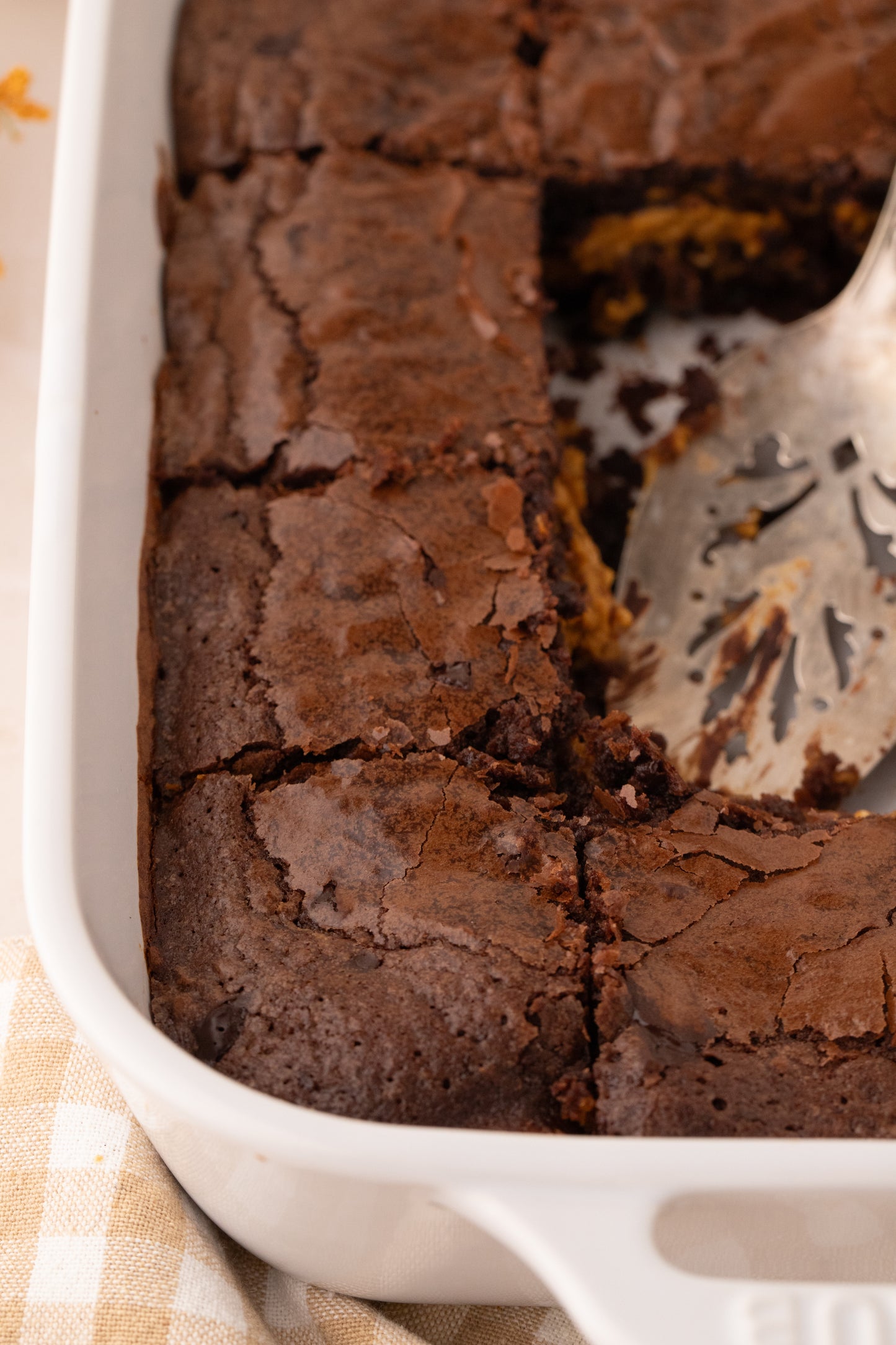 Pumpkin Brownies - Exclusive