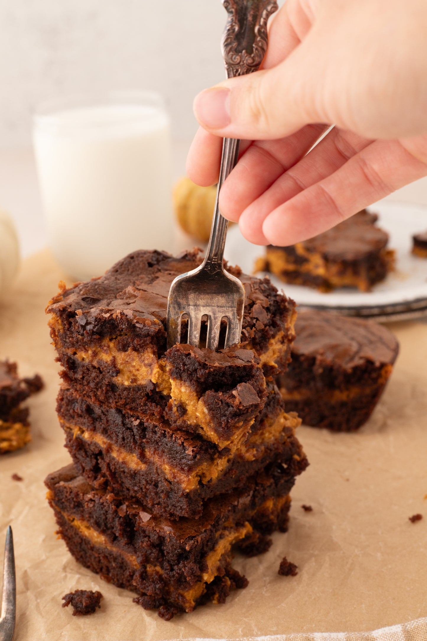 Pumpkin Brownies - Exclusive