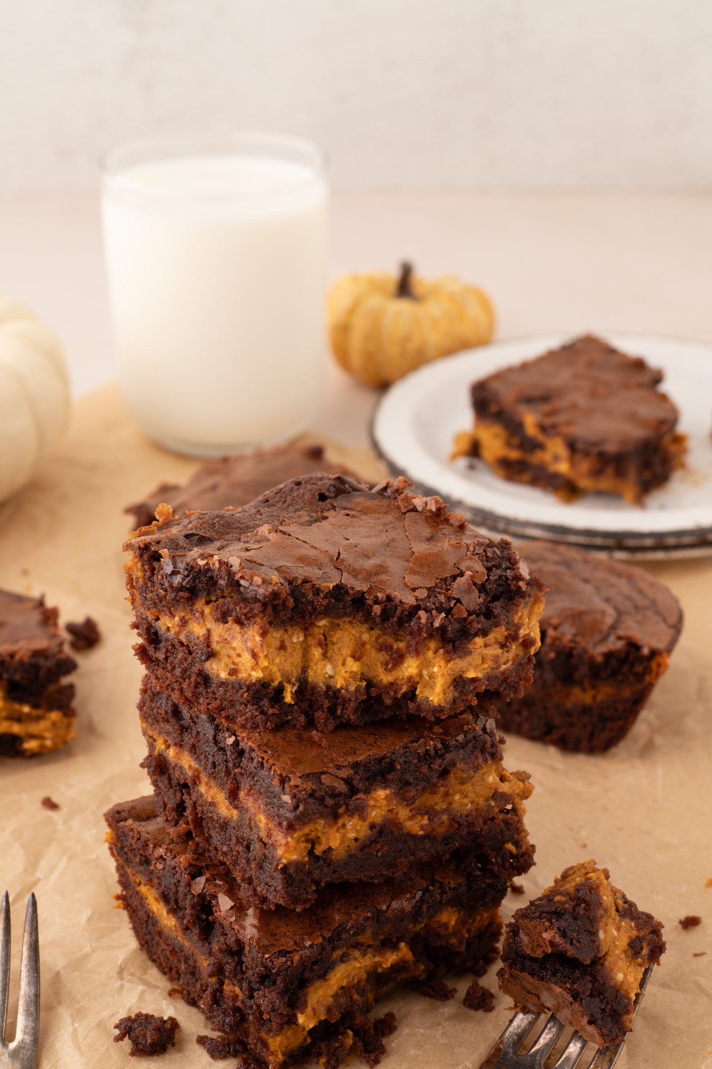 Pumpkin Brownies - Exclusive
