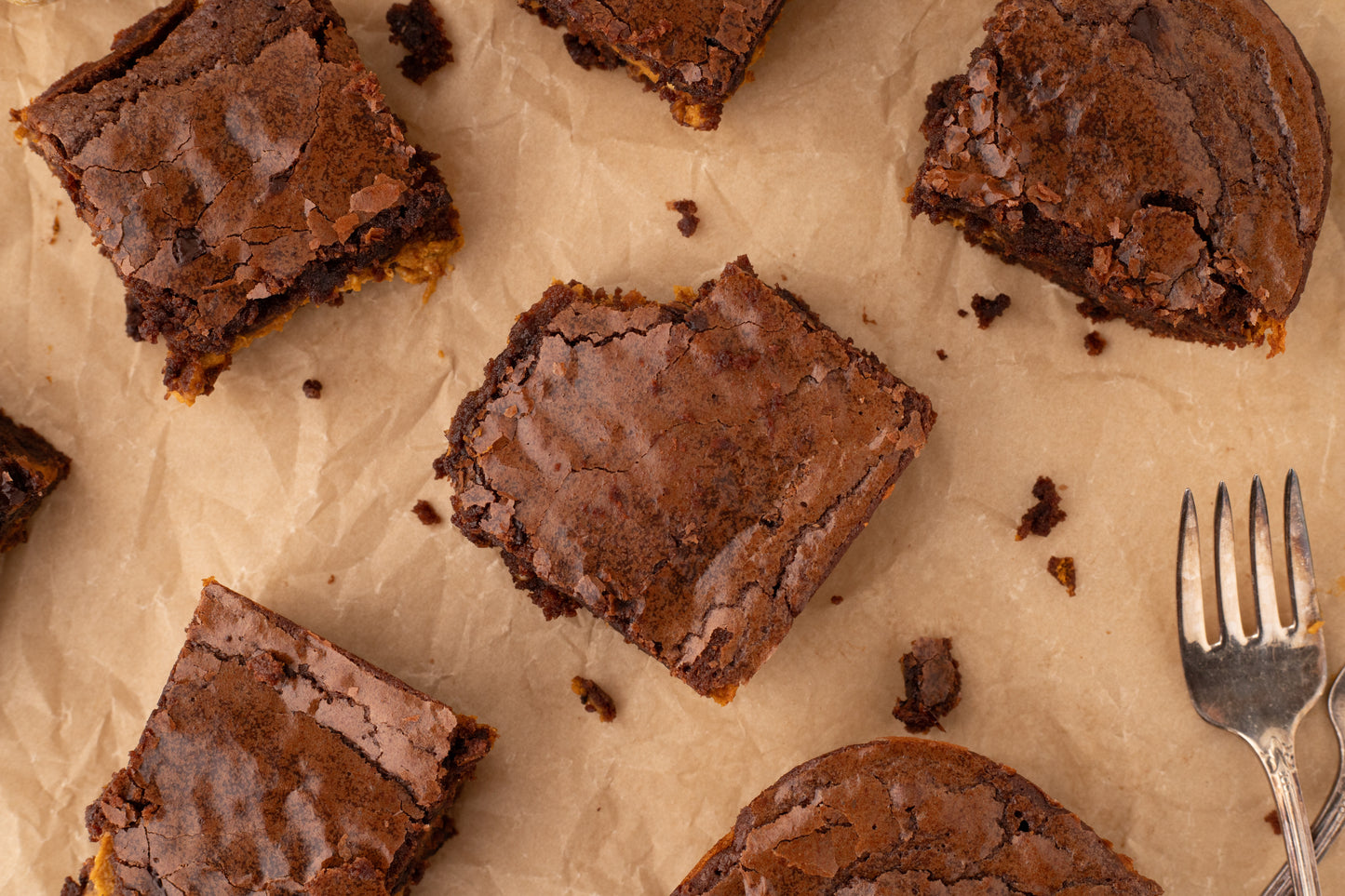 Pumpkin Brownies - Exclusive