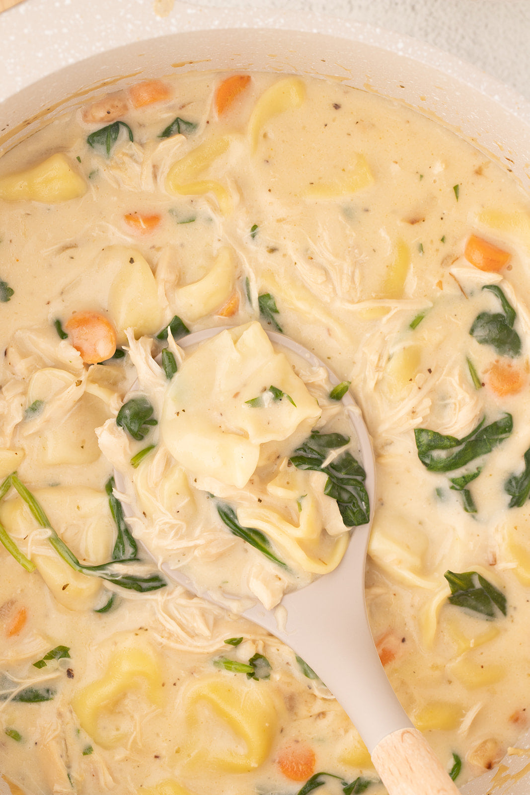 Creamy Chicken Tortellini Soup - Exclusive