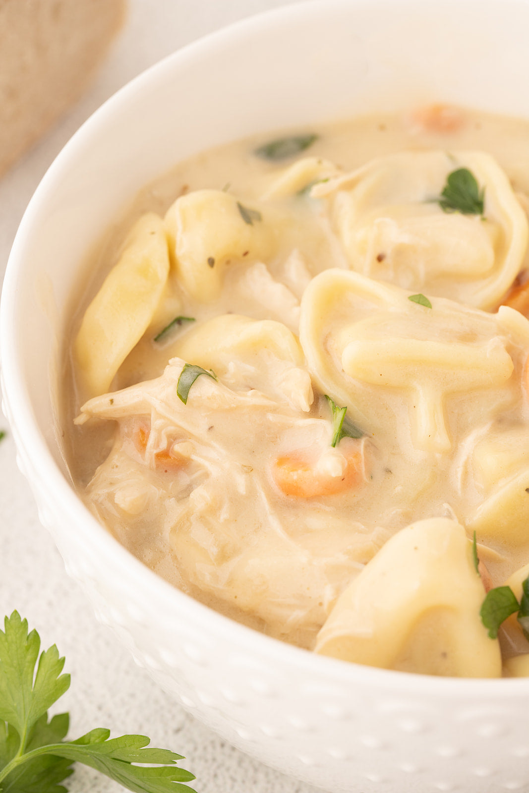 Creamy Chicken Tortellini Soup - Exclusive