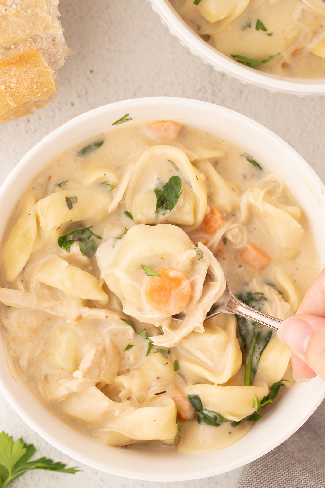 Creamy Chicken Tortellini Soup - Exclusive