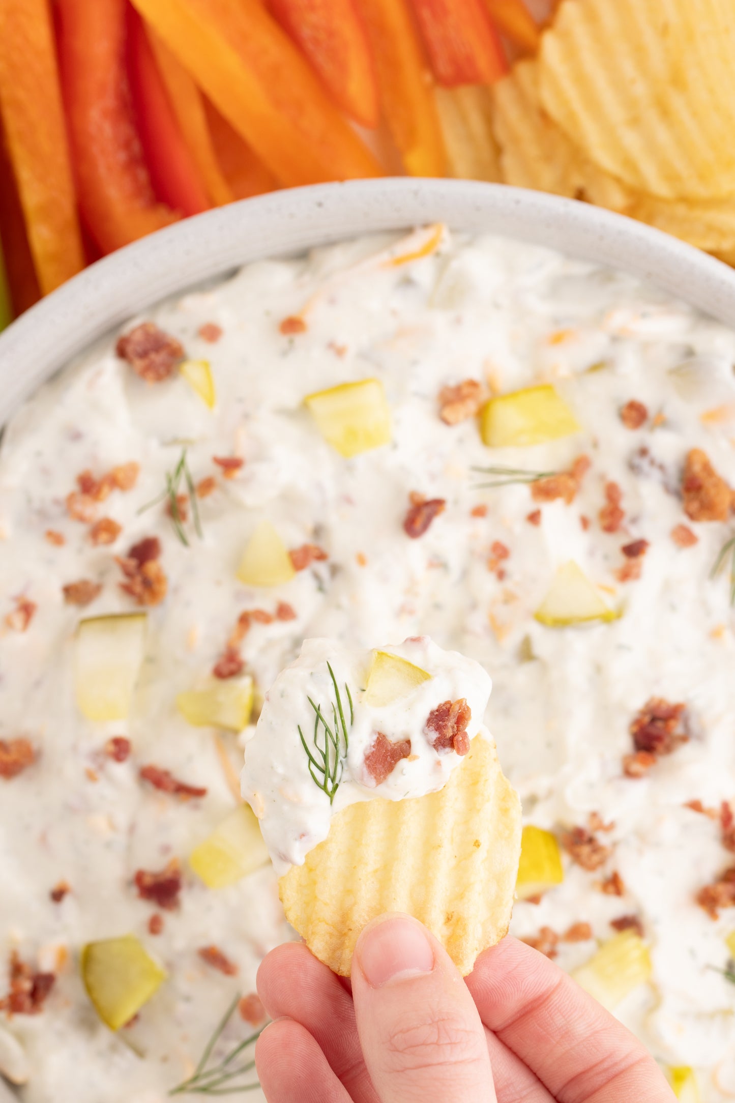Dill Pickle Dip - Exclusive
