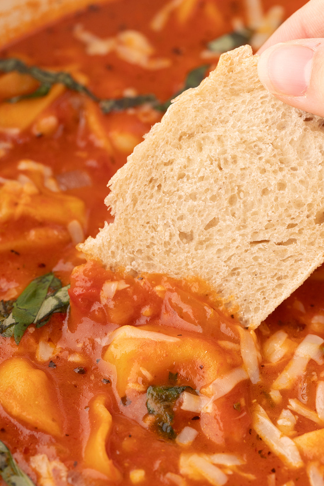 Tomato Tortellini Soup - Exclusive